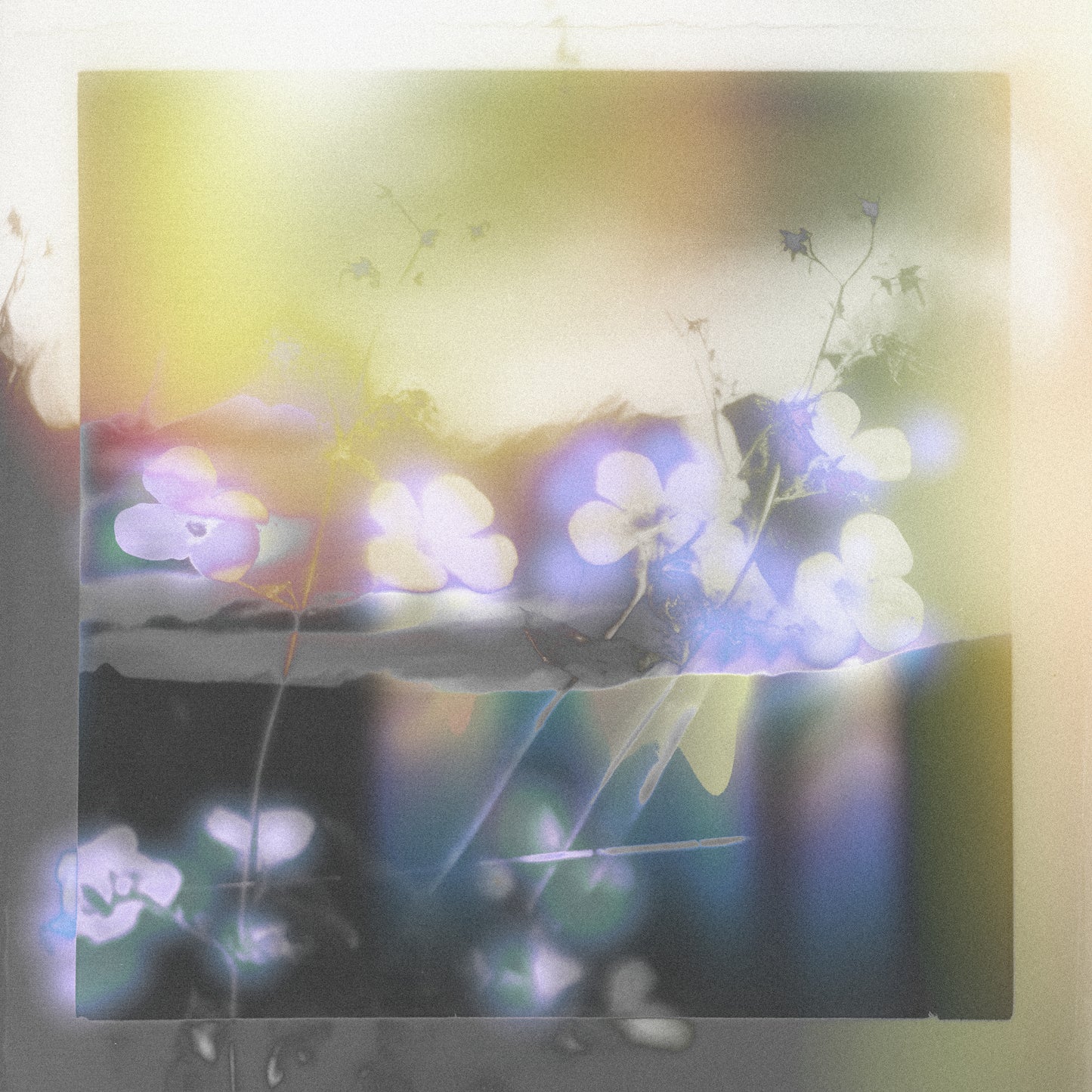 gyrofield - Akin / Mother