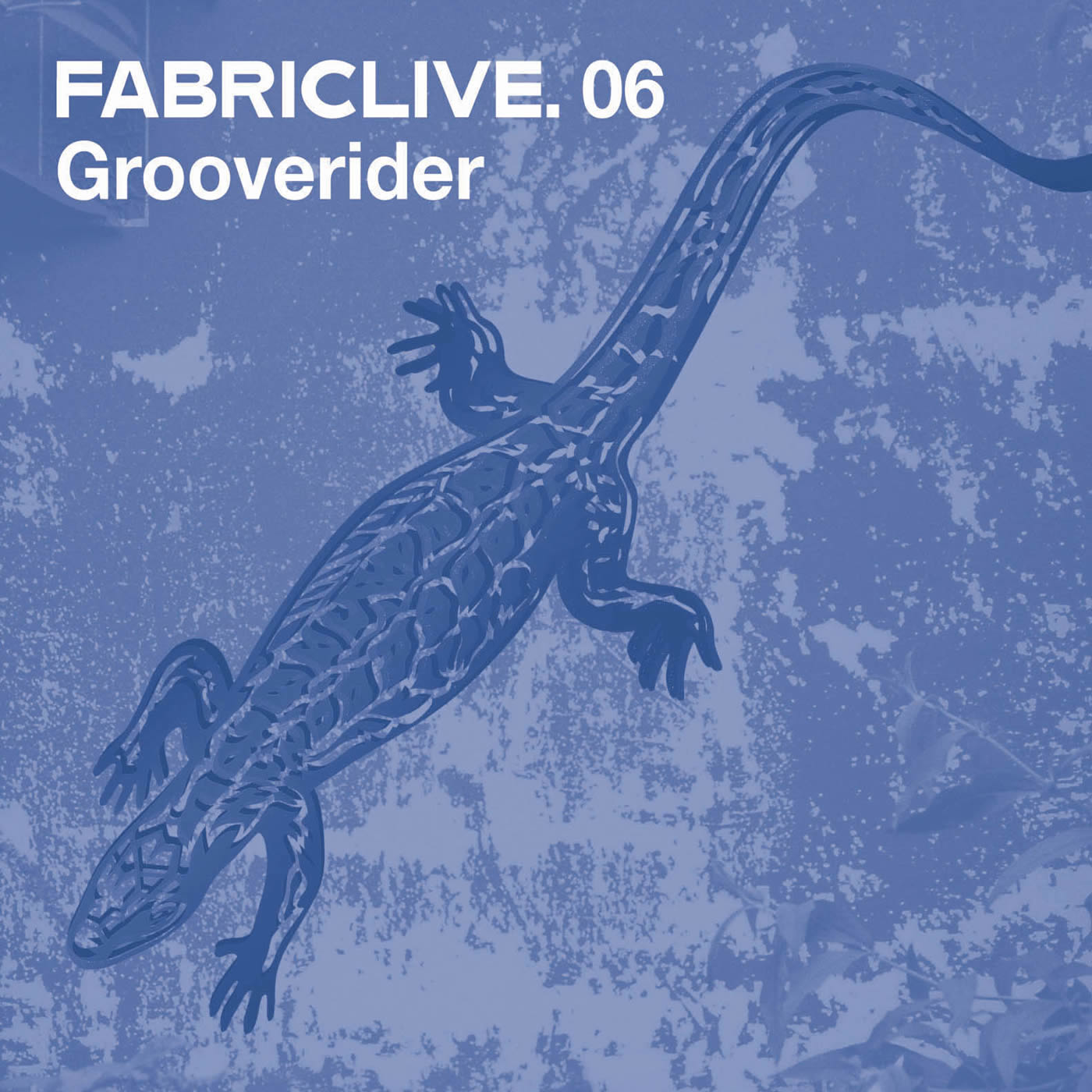 Grooverider FABRICLIVE 06 fabric