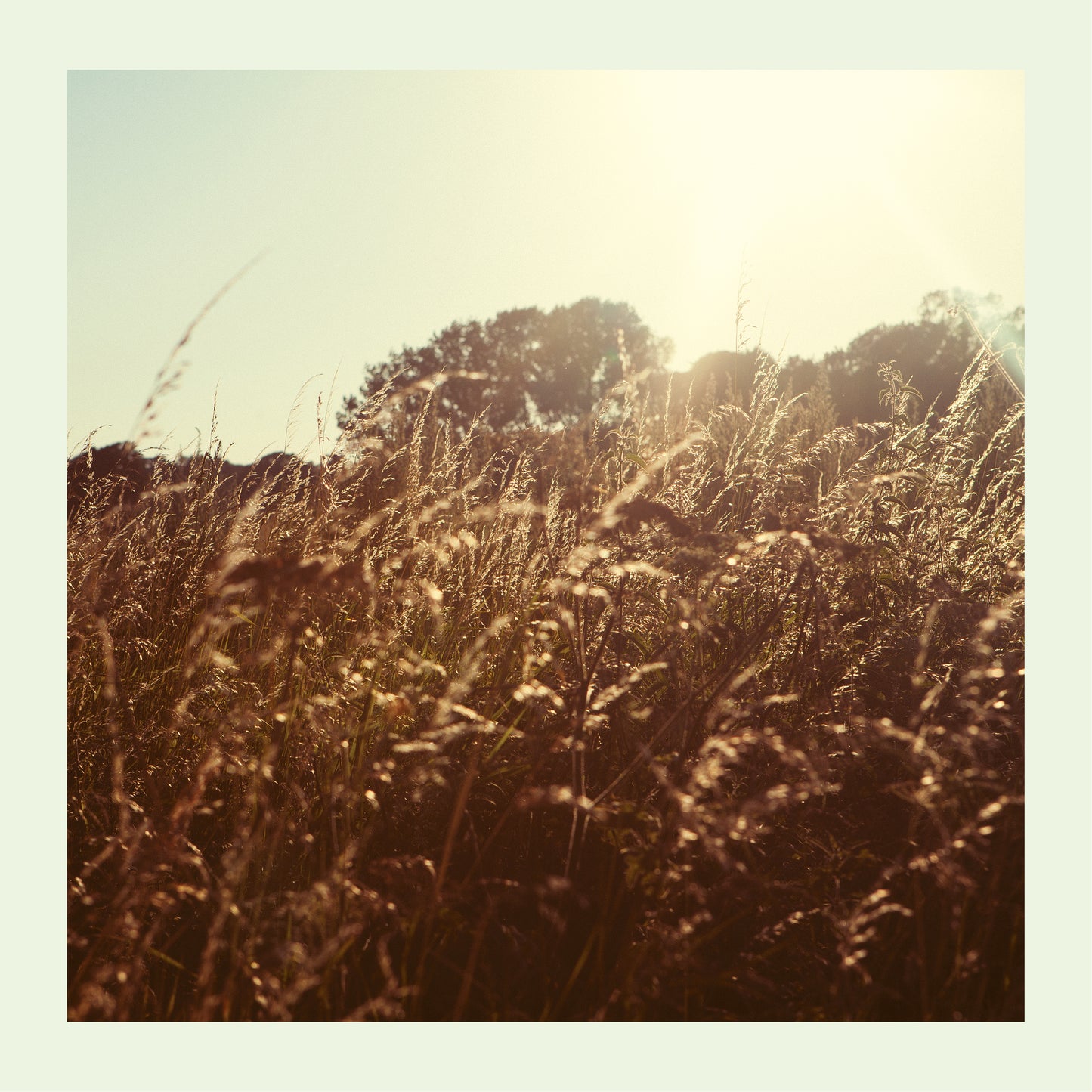 Marquis Hawkes - Sweet Vinyl