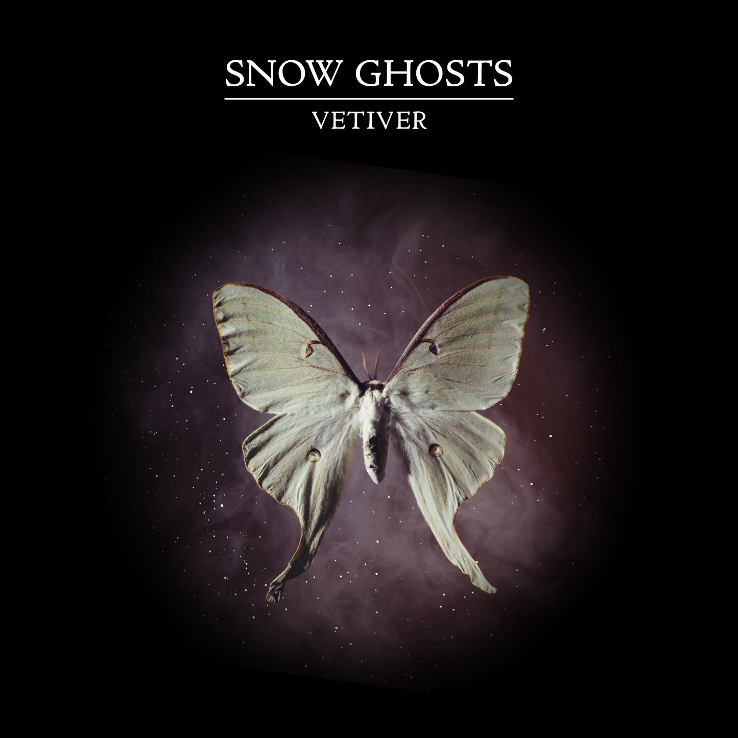 Snow Ghosts - Vetiver WAV