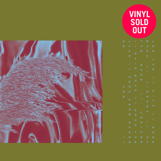 Pariah - Here From Where We Are Vinyl