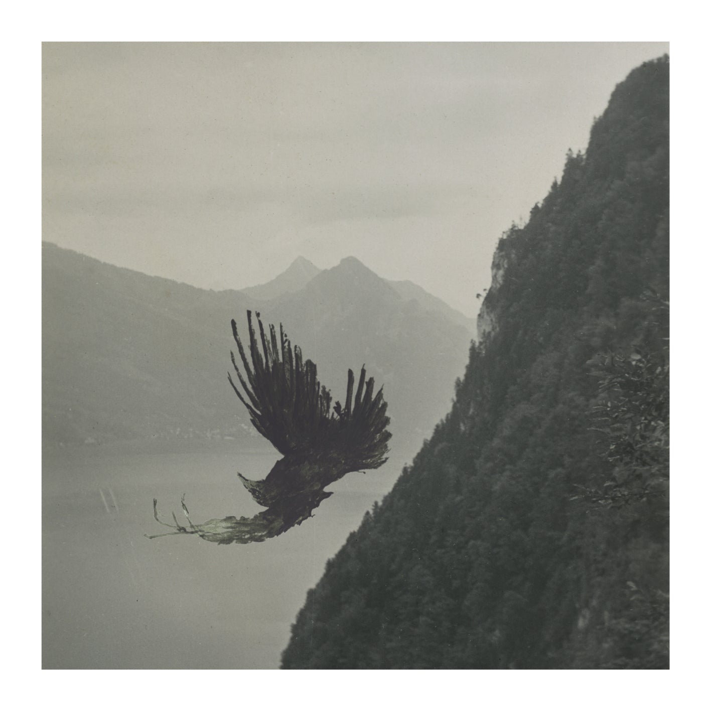 Snow Ghosts - Murder Cries MP3