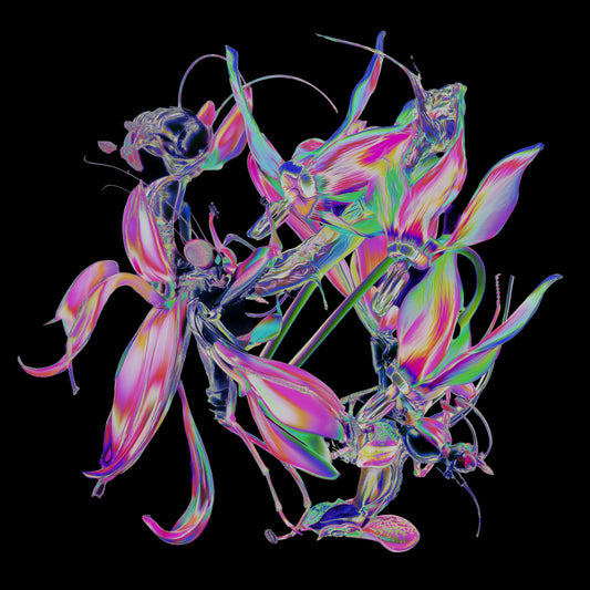 Theo Kottis - Drone / Momentum