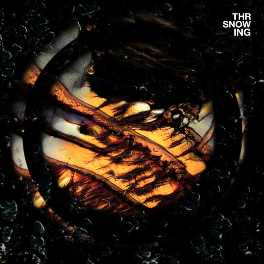 Throwing Snow - Dragons   WAV