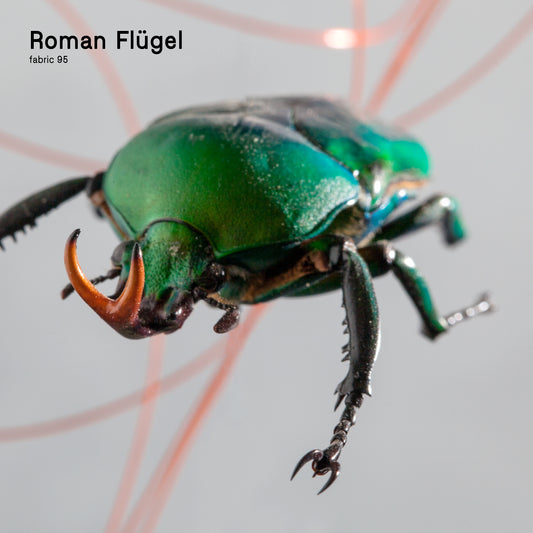 Roman Flügel - fabric 95