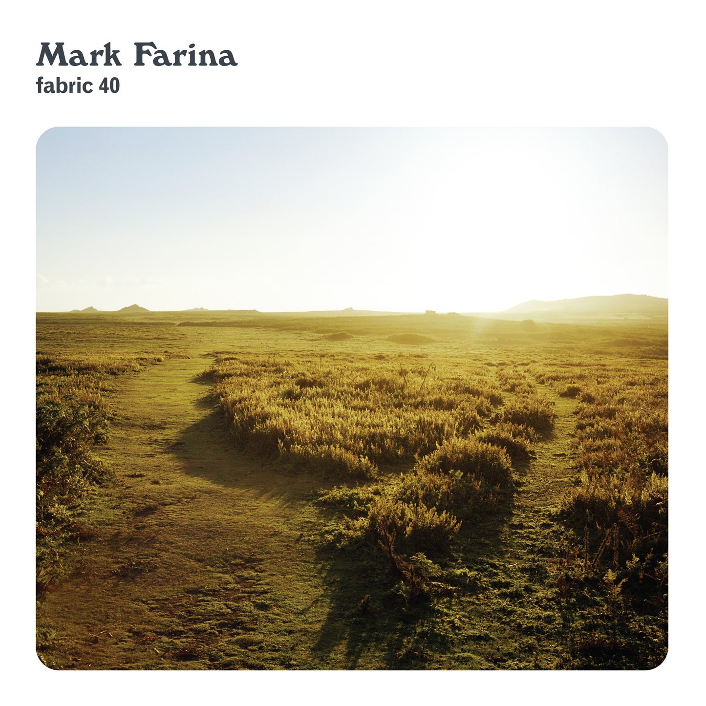 Mark Farina - fabric 40