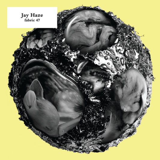 Jay Haze - fabric 47