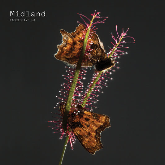 Midland - FABRICLIVE 94