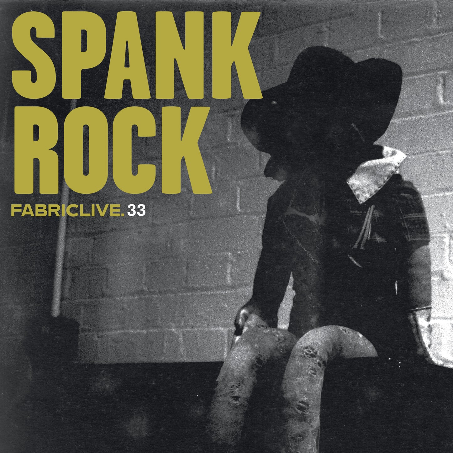 Spank Rock - FABRICLIVE 33