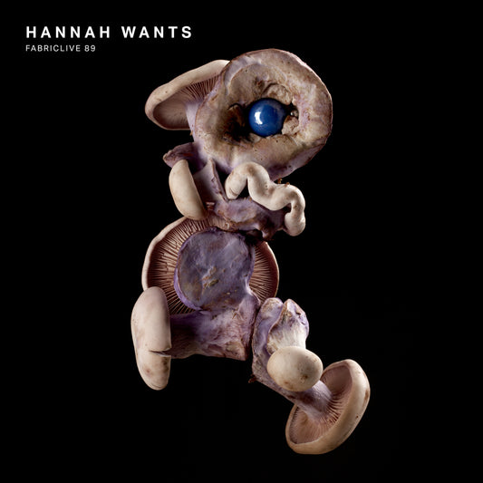 Hannah Wants - FABRICLIVE 89