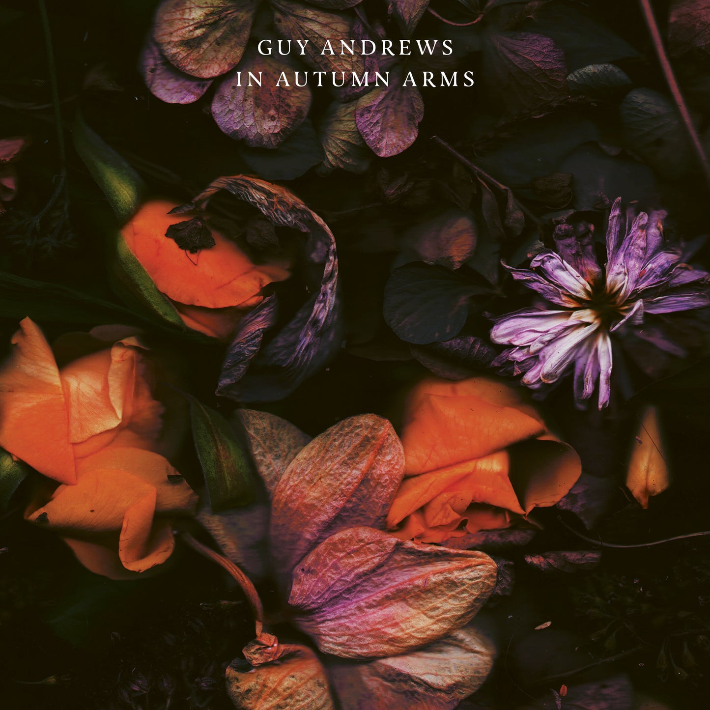 Guy Andrews - In Autumn Arms Vinyl