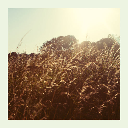 Marquis Hawkes - Sweet Vinyl