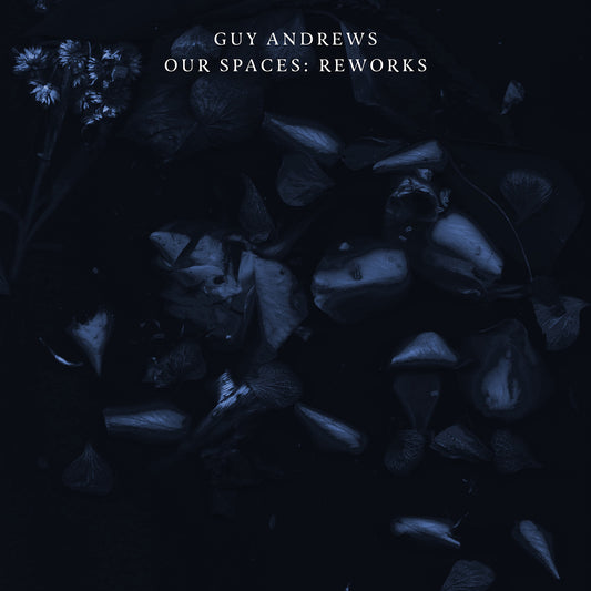 Guy Andrews - Our Spaces: Reworks WAV