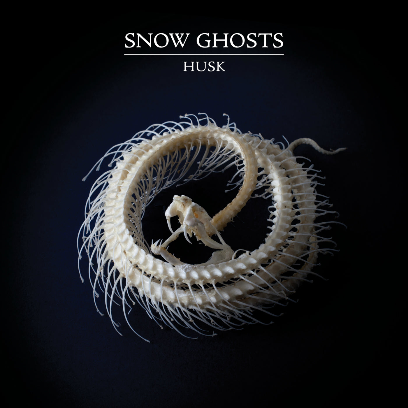 Snow Ghosts - Husk Vinyl