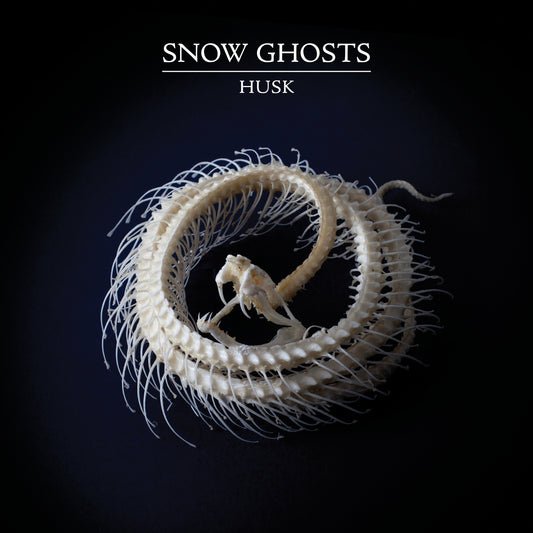 Snow Ghosts - Husk MP3