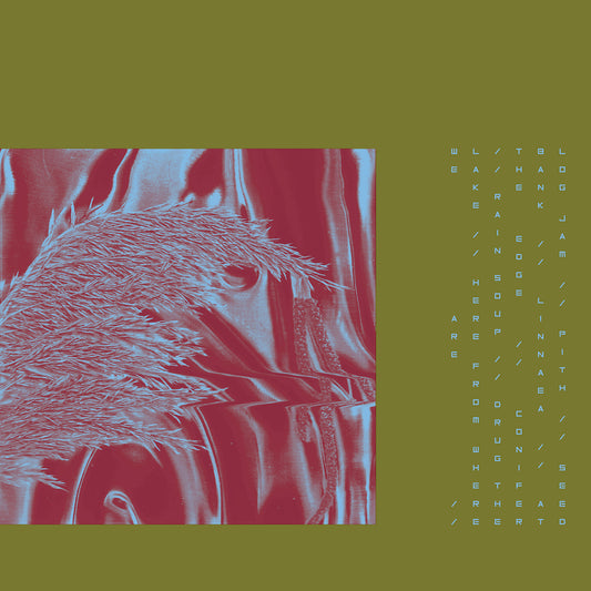 Pariah - Here From Where We Are MP3